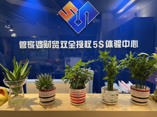 2023管家婆必开一肖一码2023管家婆必开一肖一码，开启数字化新篇章