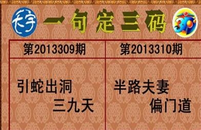 澳三码中特最网澳三码中特最网，引领数字时代的智慧之选