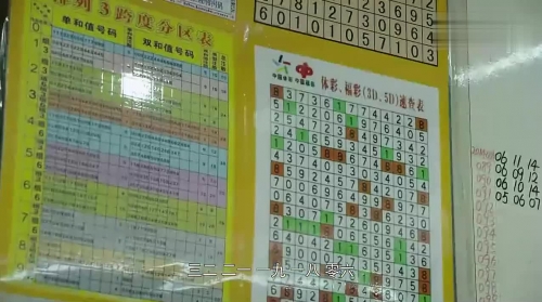 大乐透综合版新浪彩票，探索彩票新世界-第2张图片