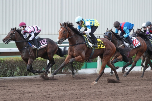 香港赛马会资料大全+正版资料2023年香港赛马会资料概述-第1张图片