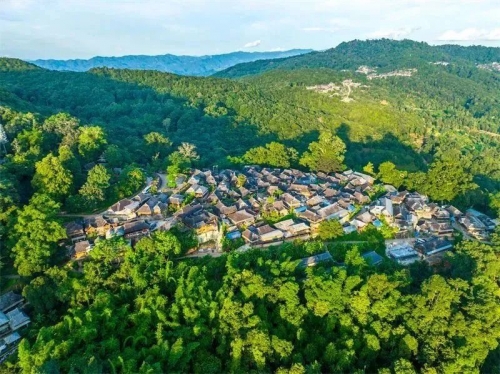 中国茶城在线网中国茶城在线，探索茶叶文化的在线新世界