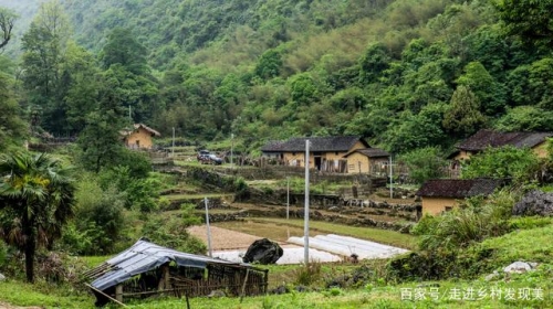 小乡村的绝色诱惑