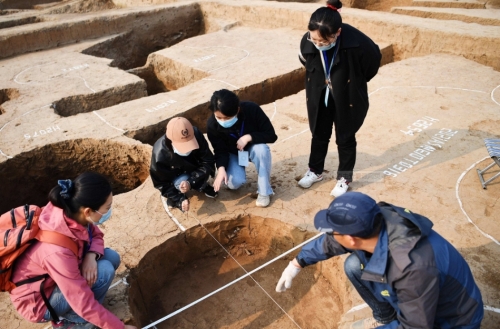 旺达与巨像重制版旺达与巨像，古代文明的辉煌与神秘