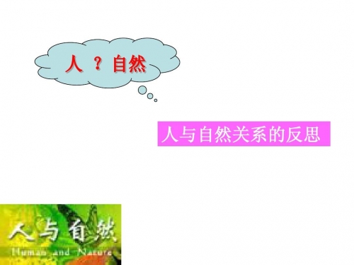 六和采六和采，自然与人文的融合-第2张图片