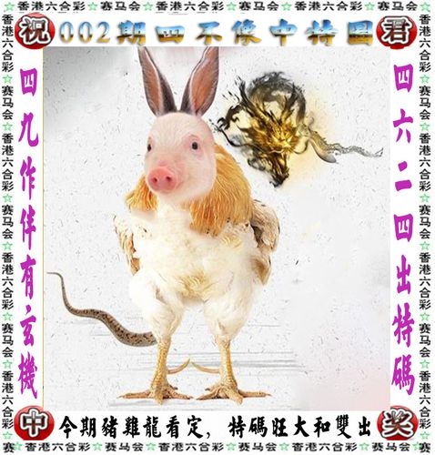 马会传真13262CC马会传真13262CC，传递信息与交流的盛会-第2张图片