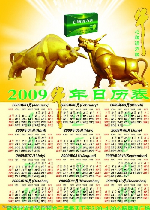 2009日历2009日历，回顾与展望-第2张图片