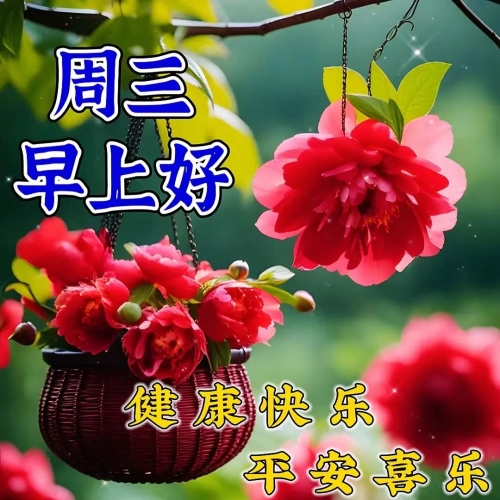 246天天好免费资料大全246天天好免费资料大全-第1张图片