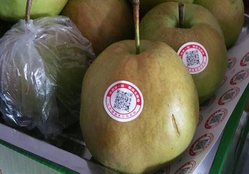 最准三碼中特分析-第3张图片