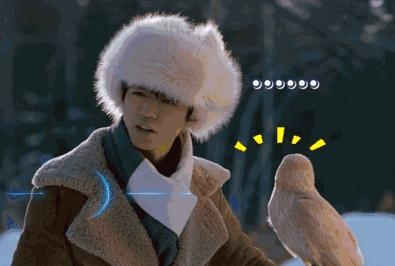中国鹰猎中国鹰猎，探寻自然与精神的双重魅力