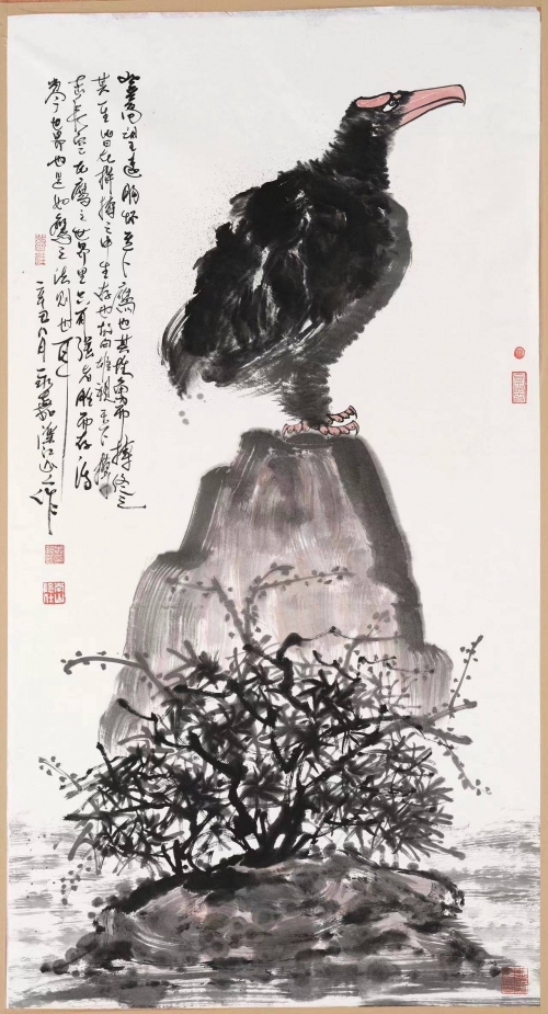 神鹰权威心水论坛神鹰权威心水论坛，探寻权威与心水的交汇之地-第3张图片