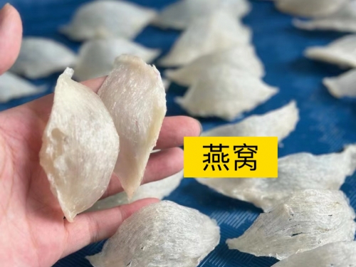 金丝燕窝金丝燕窝，天然珍品的美妙之旅