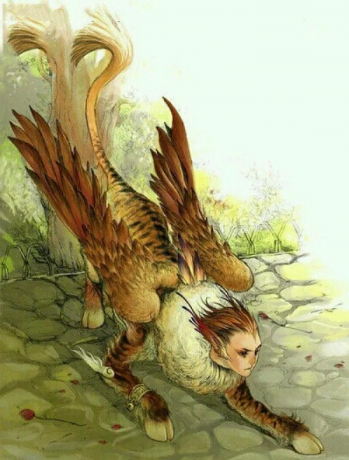 中华鹰鹘苑中华鹰鹘苑，中华自然之美与生态保护的典范