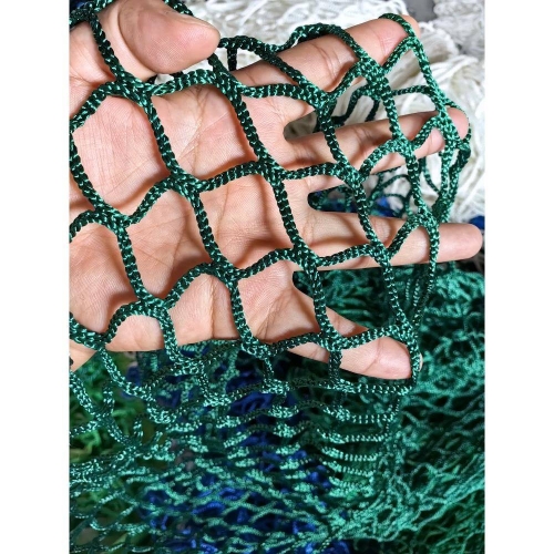 彩龙网，引领网络新时代-第2张图片