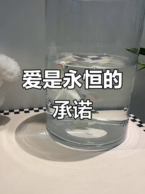 真爱你的云吉他谱真爱你的云吉他谱-第1张图片