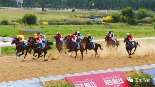 2019正版马会资料大全-第3张图片