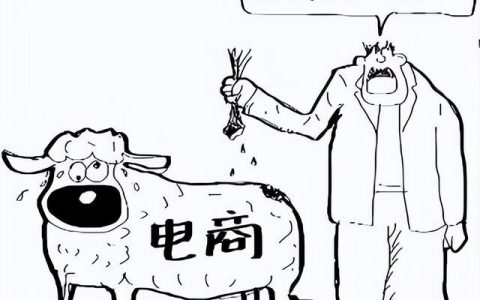 金顺电商金顺网络，引领数字化新时代-第1张图片