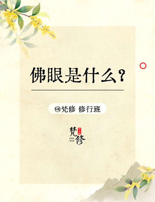 最强神眼，洞察世间万象的神秘之眼-第2张图片