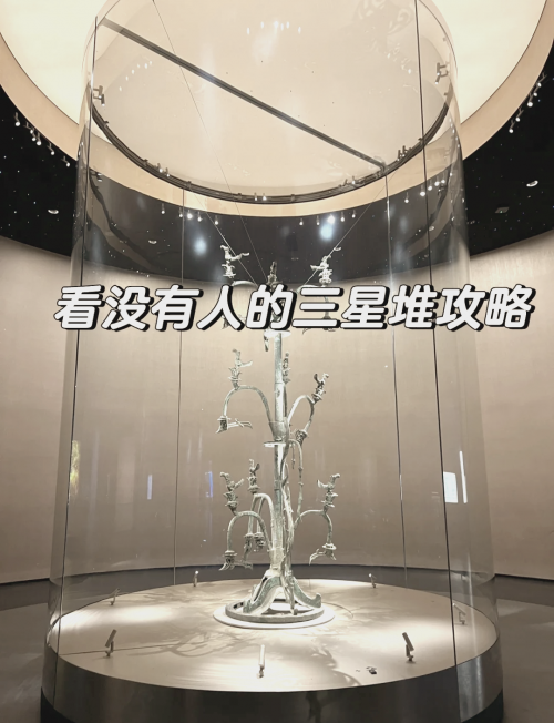 探索6wap.hk，数字时代的探索之旅-第2张图片