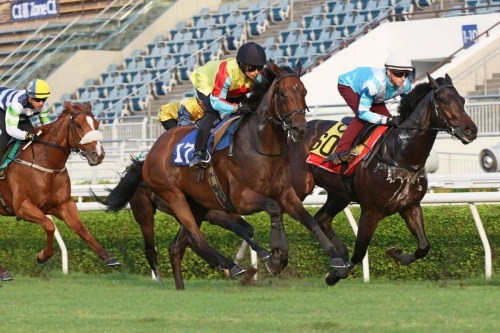 香港赛马会精选资料大全香港赛马会精选资料大全
