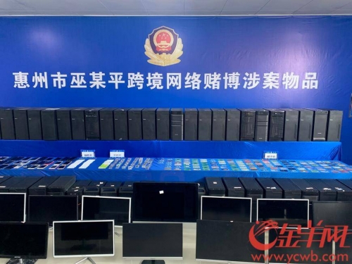 百家乐论坛，探索网络赌博的秘密世界