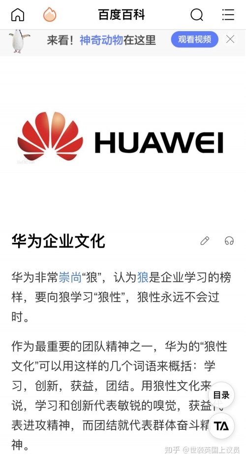 天天论坛宝崽敏别天天论坛，探索网络交流的新天地-第3张图片