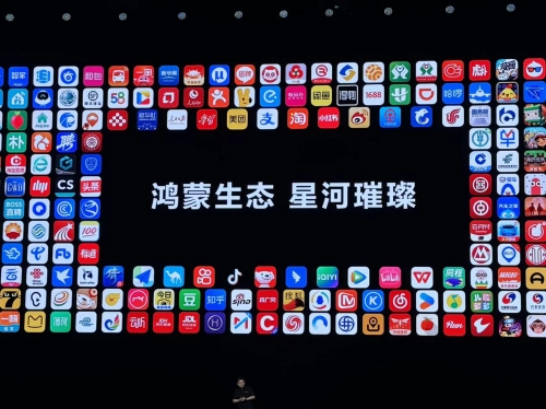 2024年新澳门王中王资料第152期2024年新澳门王中王资料概览