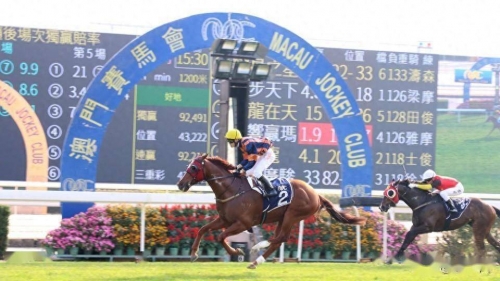 香港2021年马会资料2019香港马会全年资枓大全-第2张图片