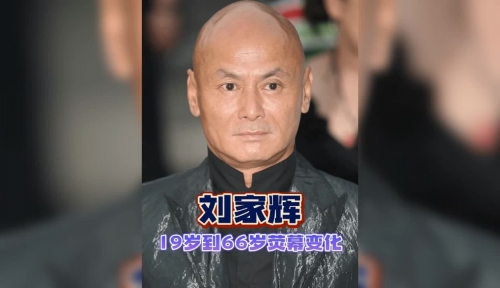 刘家辉，江湖传奇人物-第3张图片