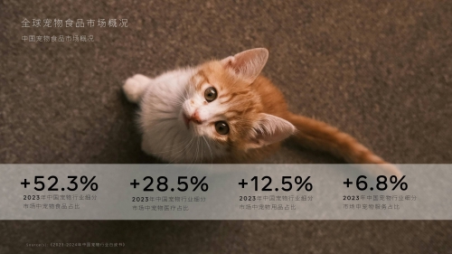 博狗网HAOBC，引领宠物行业的新篇章