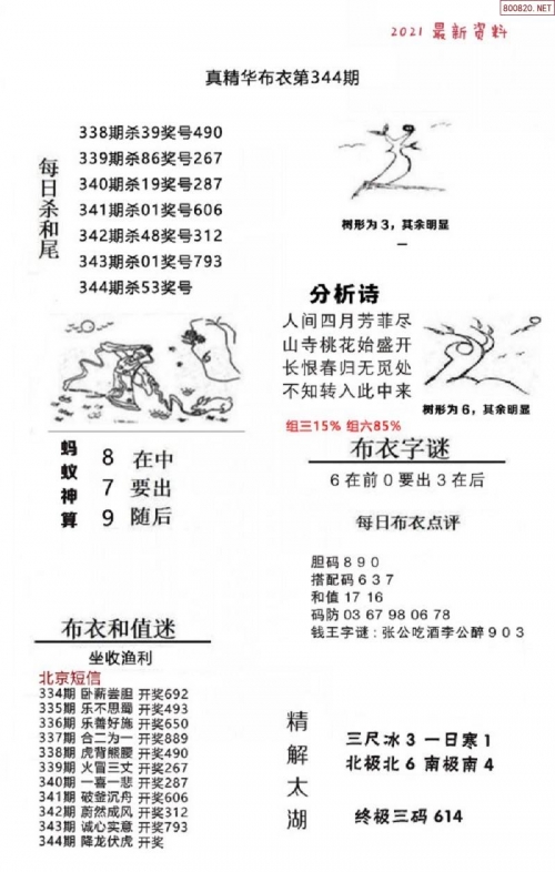 2024精华版布衣图全图解析