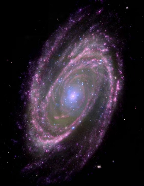 星空影视星空影视，星辰下的艺术与探索