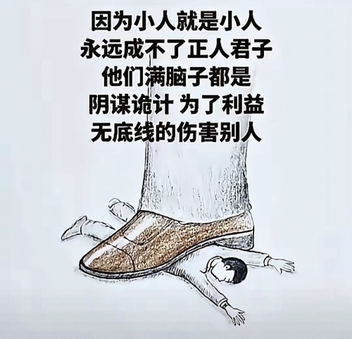 今天大佬又不做人了今天大佬不再做人类-第1张图片