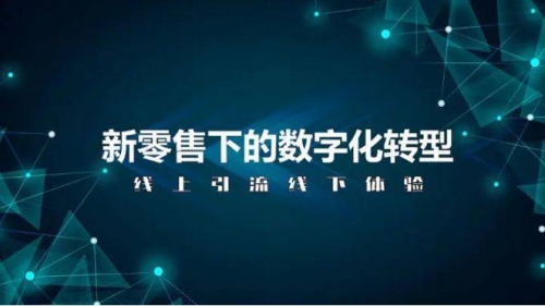 4394.com，数字时代的网络新天地