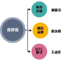 2023一码一肖，预测与成功的秘密