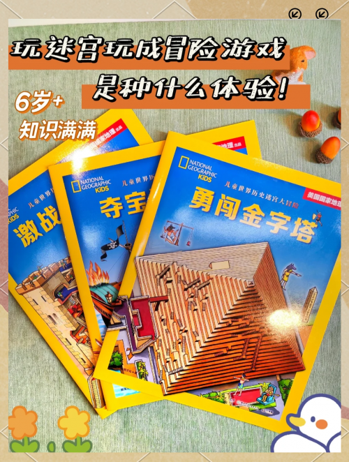 金字塔迷宫探索之旅-第2张图片