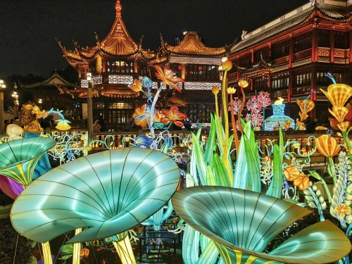 2023香港今晚特马2023香港今晚特马，璀璨之夜，共赴盛宴