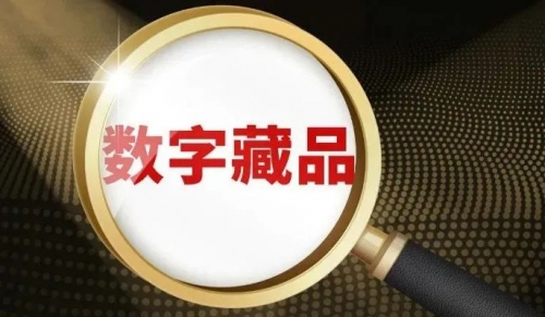 006677夜明珠预测01一探索数字006677的神秘世界