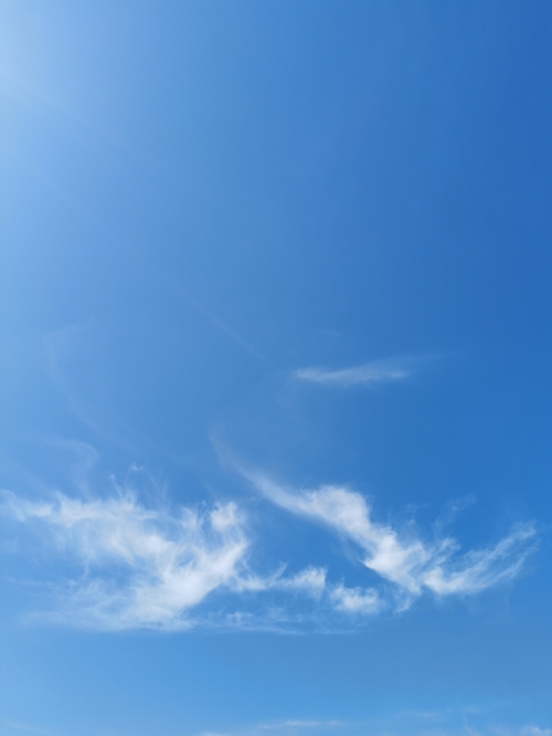 天下天空彩票免费大全天下天空彩票免费大全