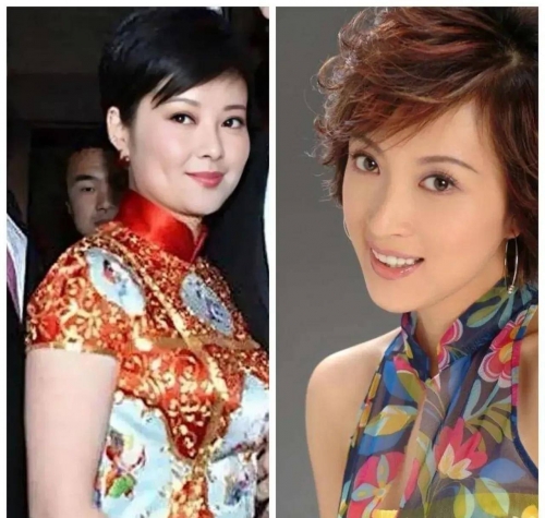 傅艺伟和金巧巧傅艺伟与金巧巧，演艺界的璀璨明星-第2张图片