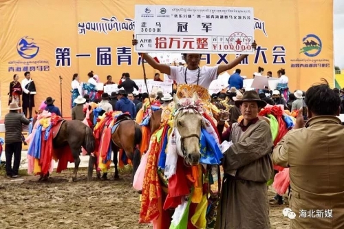二手赛马市场热潮，探索与机遇