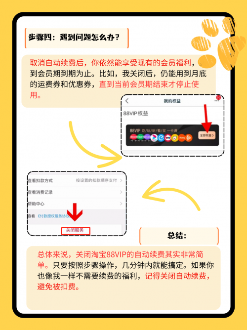 88vip会员怎么开通89.com，互联网新时代的探索与机遇-第3张图片