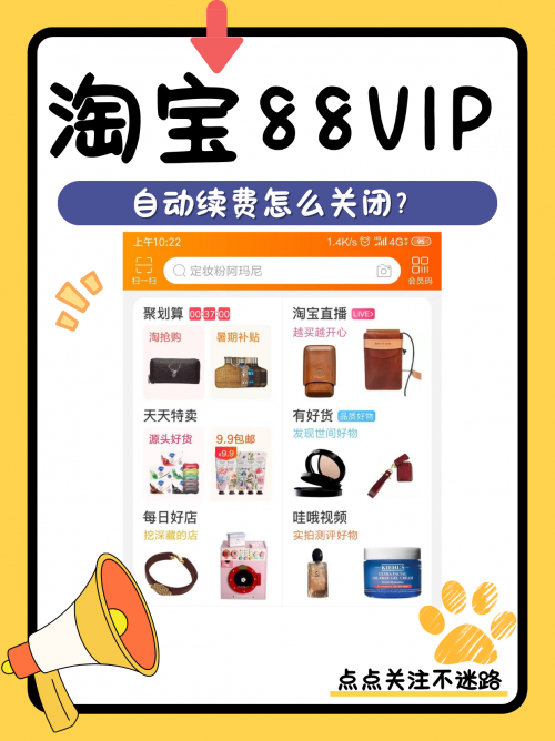 88vip会员怎么开通89.com，互联网新时代的探索与机遇-第2张图片