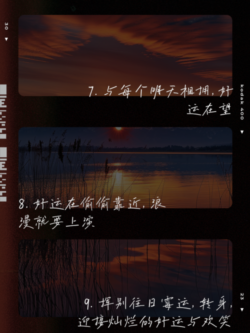 246天天好彩(5334cc)——把握未来，好运连连