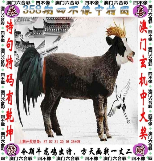 澳门一码一肖一待一中四不像澳门一码一肖，神秘之谜与四不像的等待-第1张图片