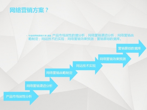 神鹰论坛，探索网络交流的新天地-第2张图片