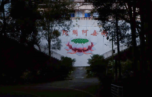 金光佛论坛新开奖结果今天金光佛论坛，探寻佛法智慧与心灵成长