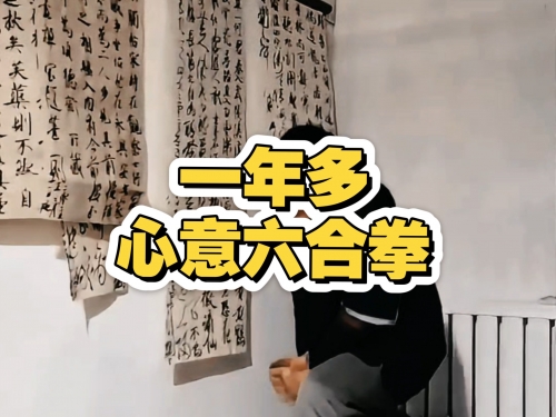 六合拳彩，传统武术的魅力与幸运-第1张图片