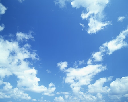 天空下载网天空下载网，探索无限网络资源-第1张图片