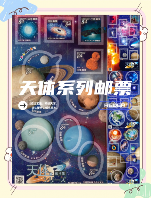 探索数字奥秘——446x的奇妙之旅-第2张图片