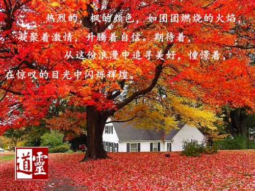 全讯网五湖四海全讯网五湖四海，信息交流的新平台